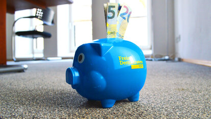Symbolbild - Sparschwein mit Geldscheinen