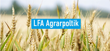 LFA Agrarpolitik 3